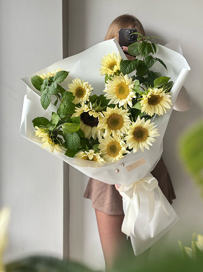 Необычные белые подсолнухи с зеленью малины