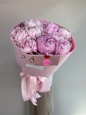 Розовые пионы 9 шт.