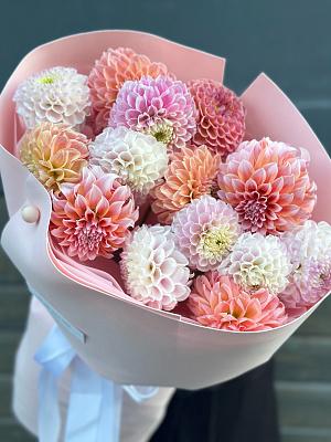 Микс георгинов 15 шт.